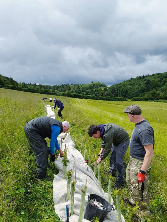 people doing mulching planting a new forest