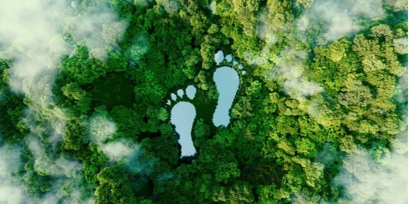 Lake shaped feet prints in nature