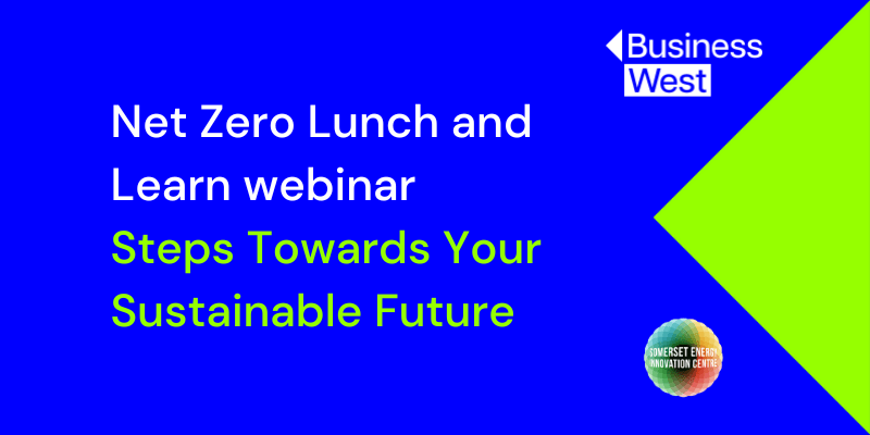 Lunch and Learn webinar - march 2024 - resource banner