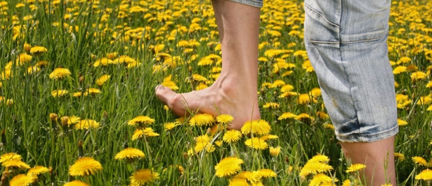 Feet walking in the grass