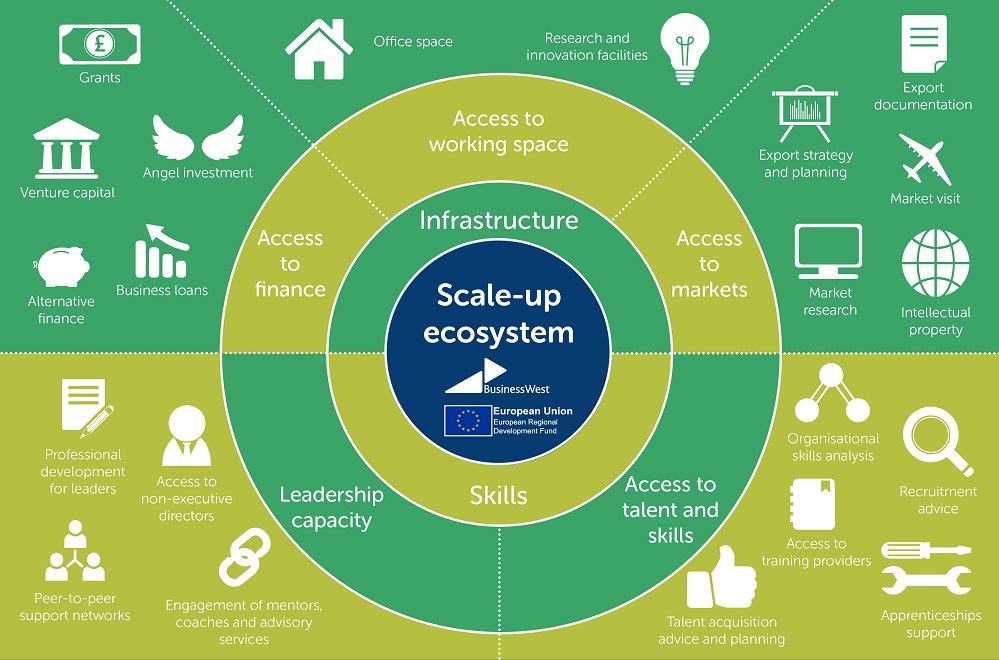 scale up ecosystem